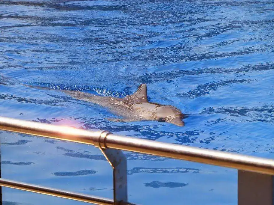 DSCF2973.webp