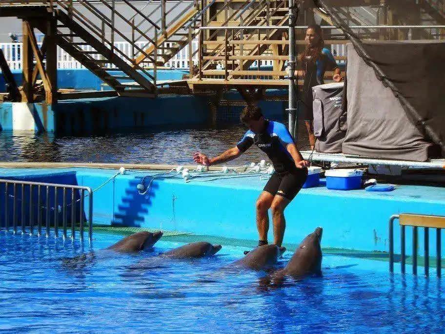 DSCF2978.webp