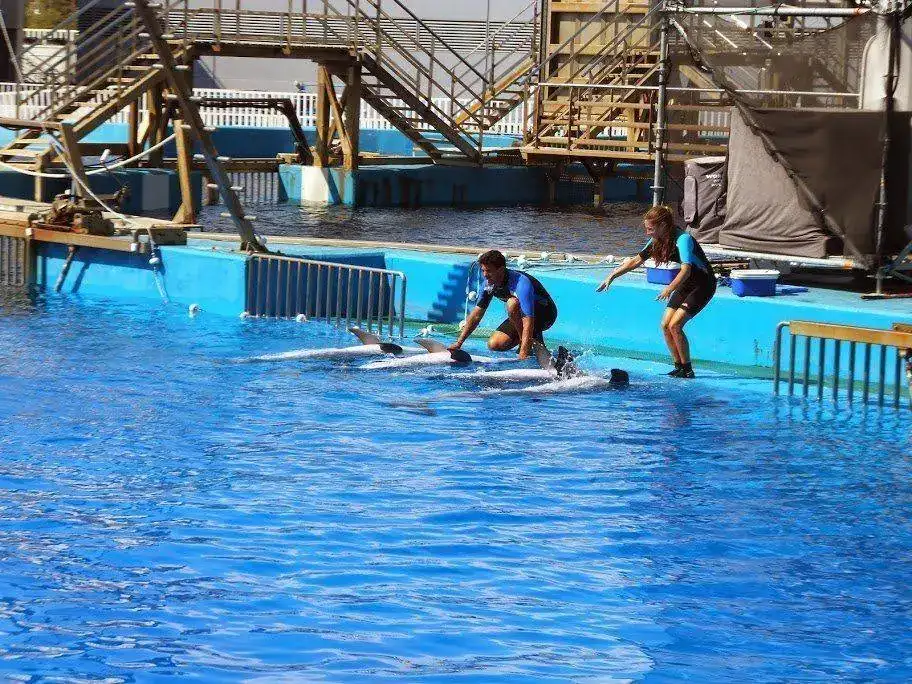 DSCF2981.webp