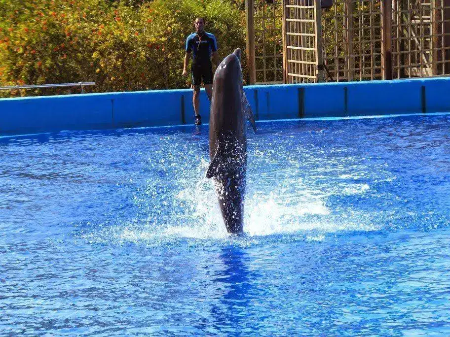DSCF2984.webp