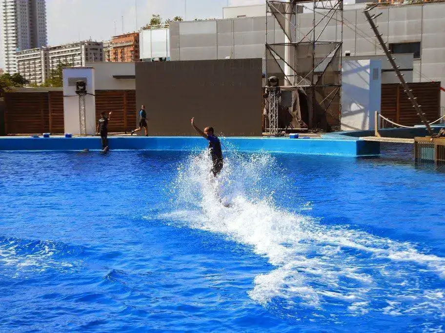 DSCF3007.webp