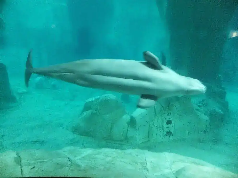 DSCF3038.webp