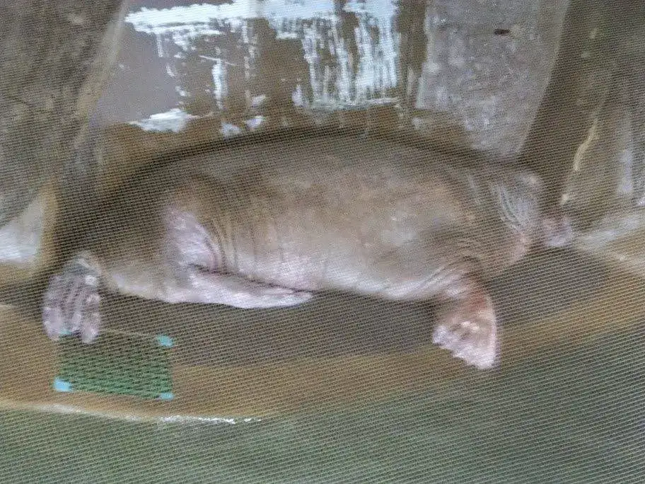 DSCF3047.webp