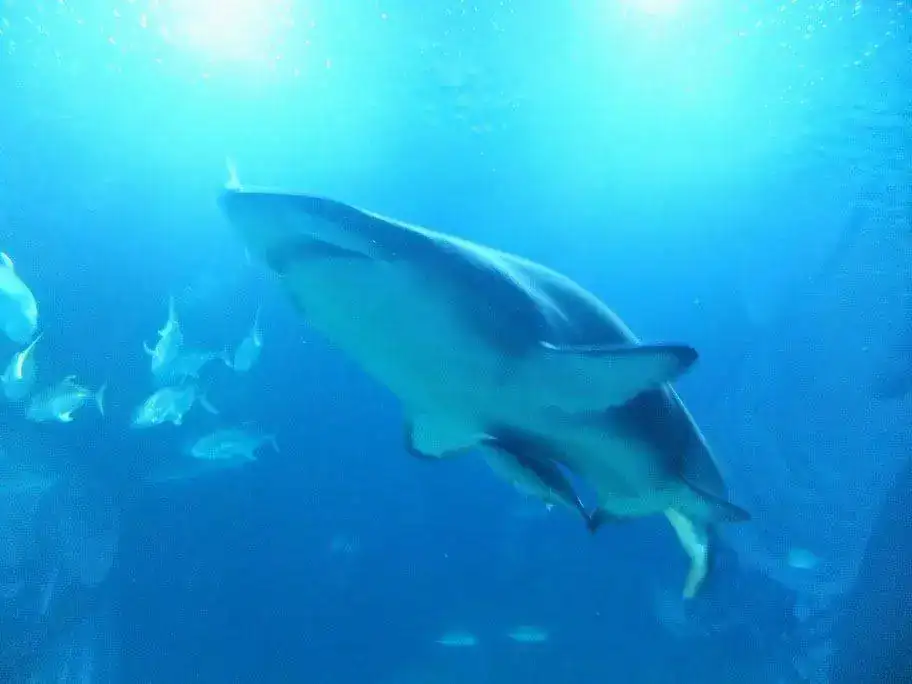 DSCF3066.webp