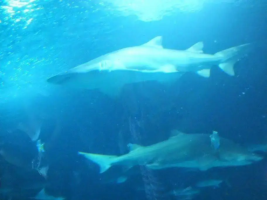 DSCF3068.webp