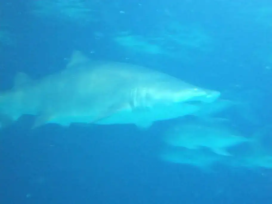 DSCF3072.webp