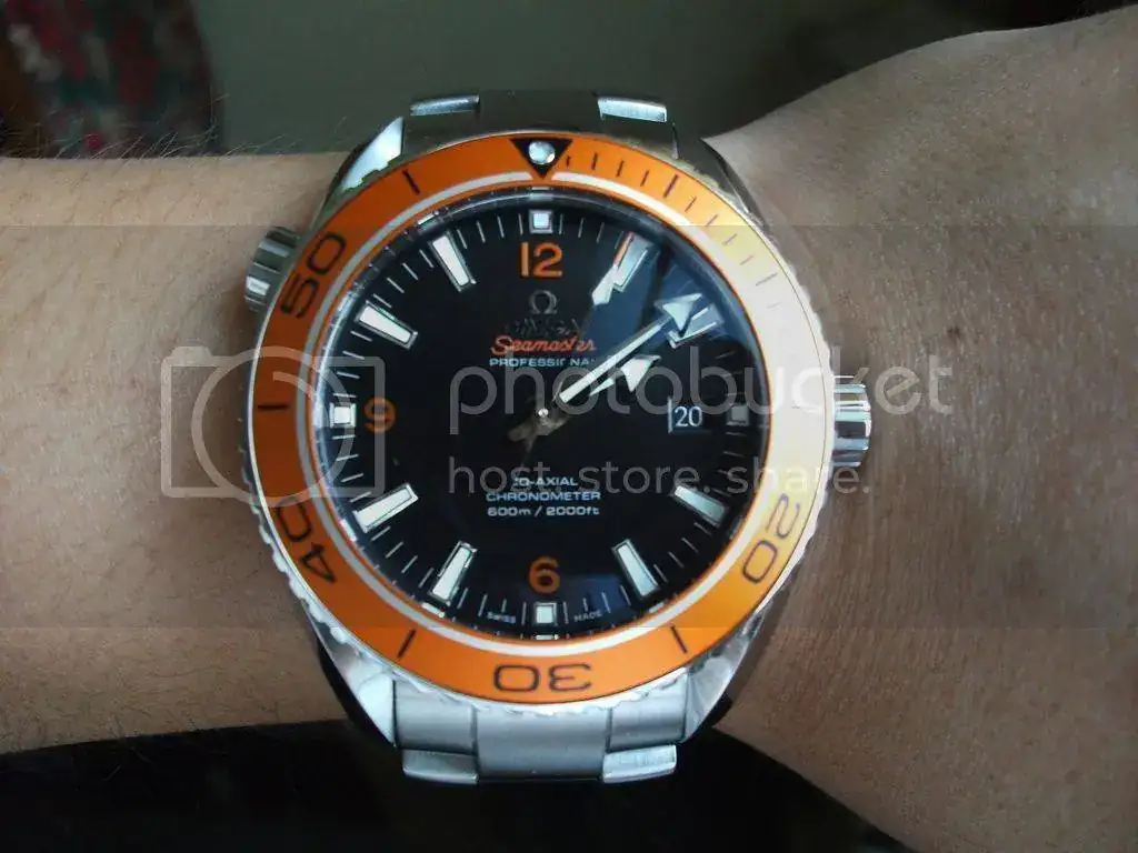 DSCF3334_zpstbgceowa.webp