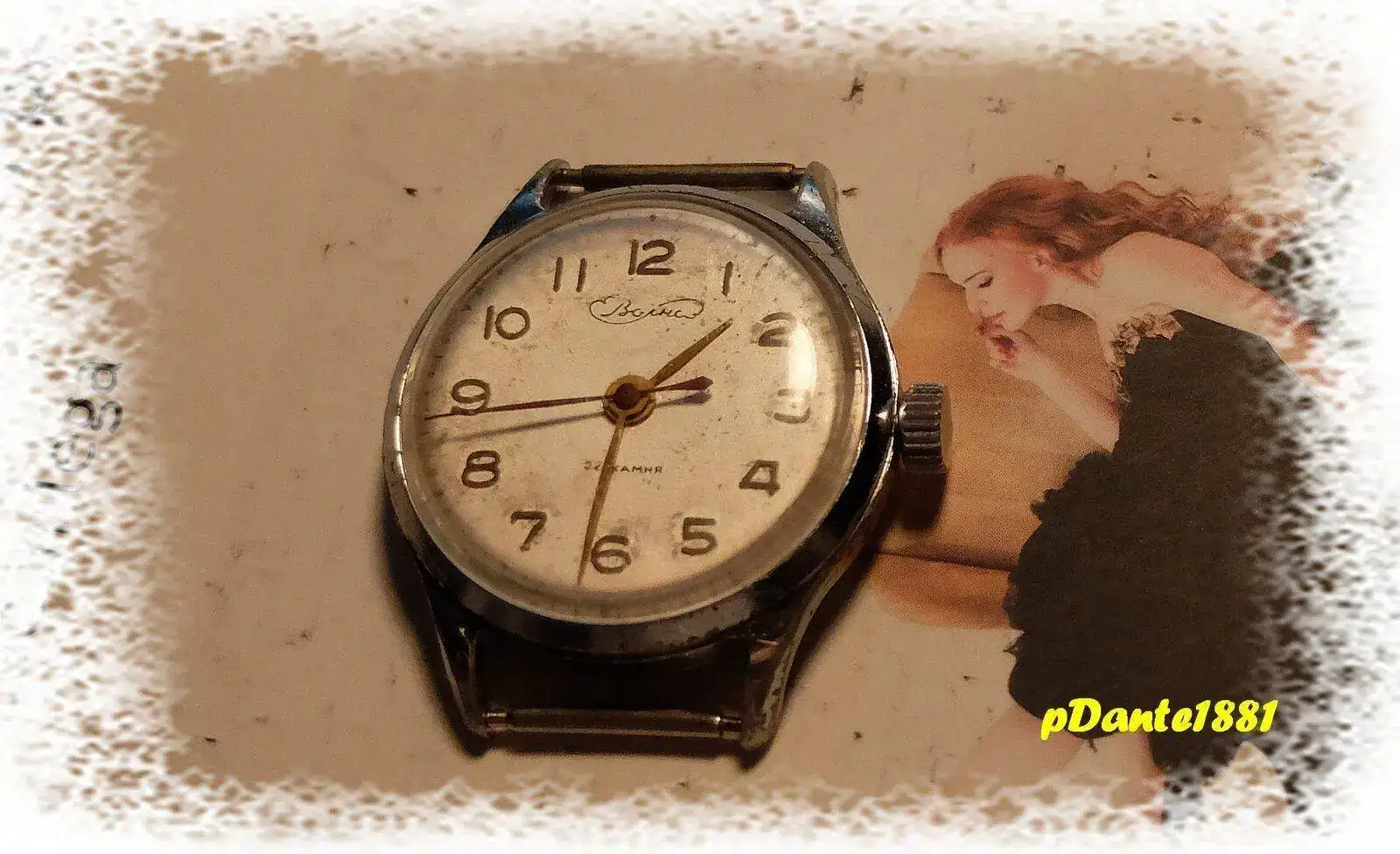 DSCF3367.webp