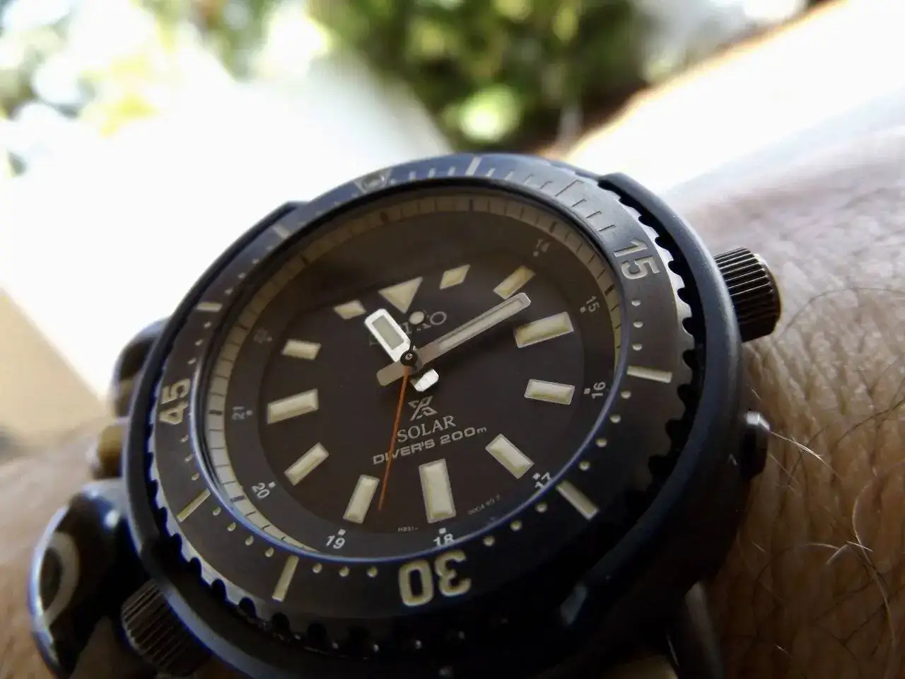 DSCF4008.webp