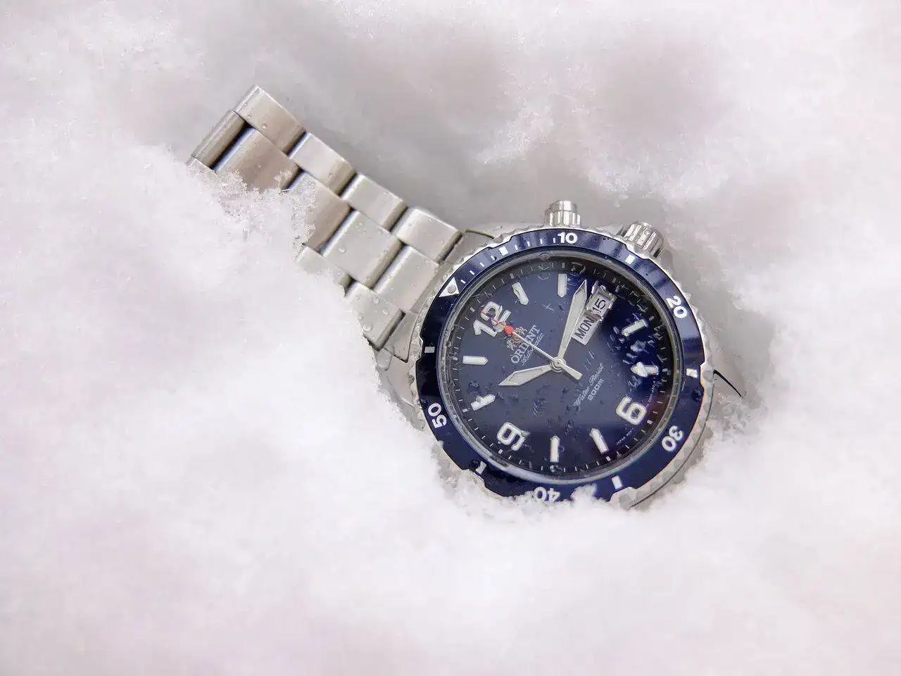 DSCF4038.webp