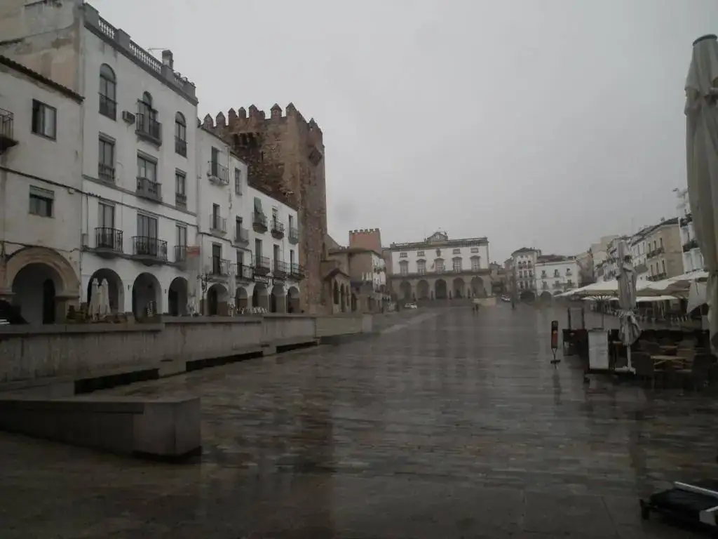 DSCF7398.webp