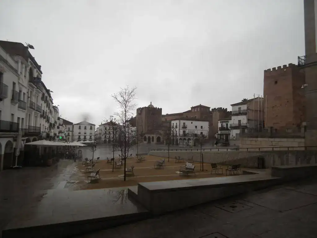 DSCF7399.webp