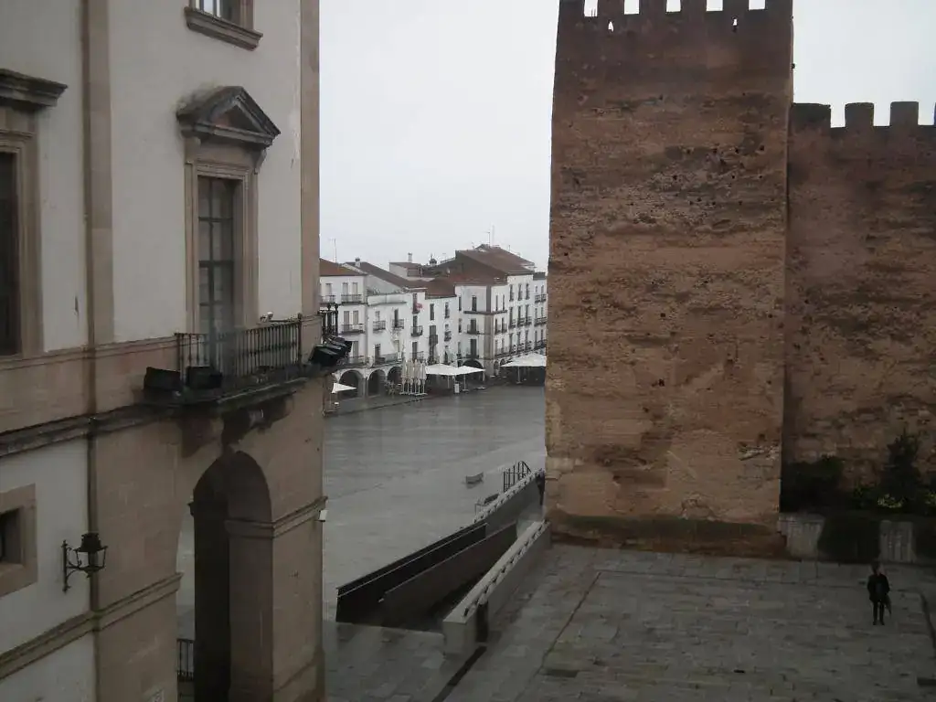 DSCF7405.webp