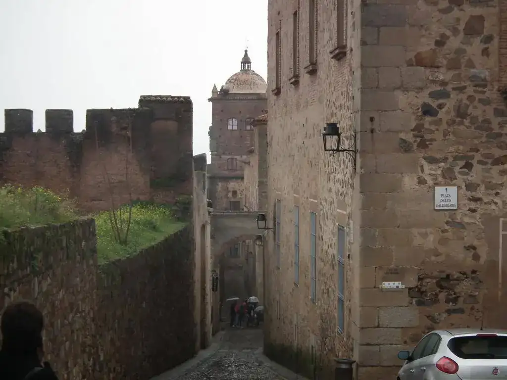 DSCF7409.webp