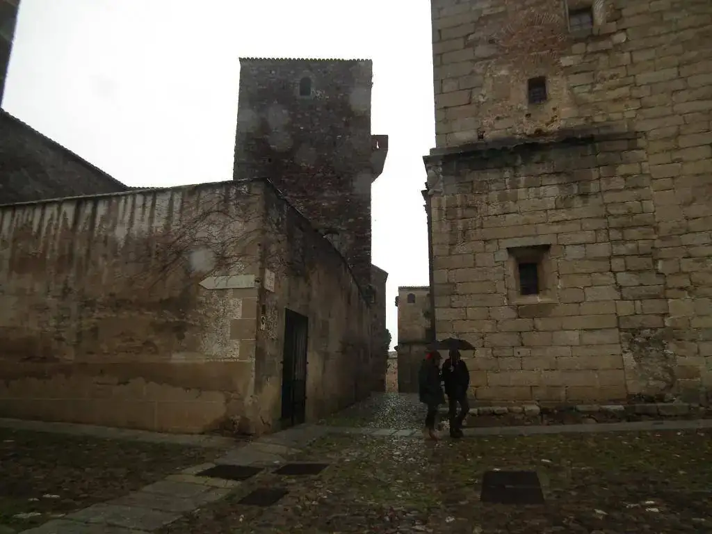 DSCF7413.webp