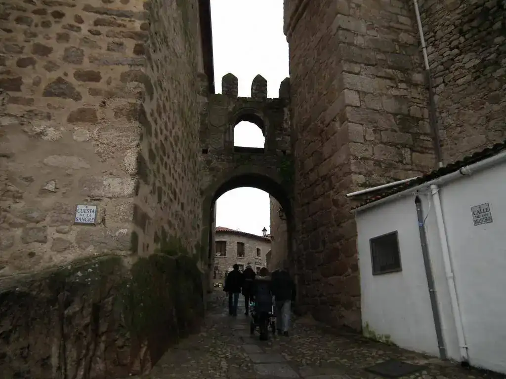 DSCF7419.webp