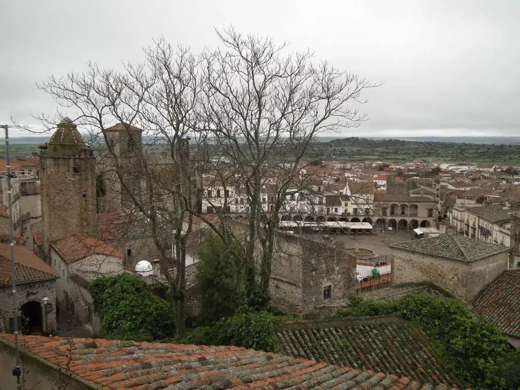 DSCF7424.webp