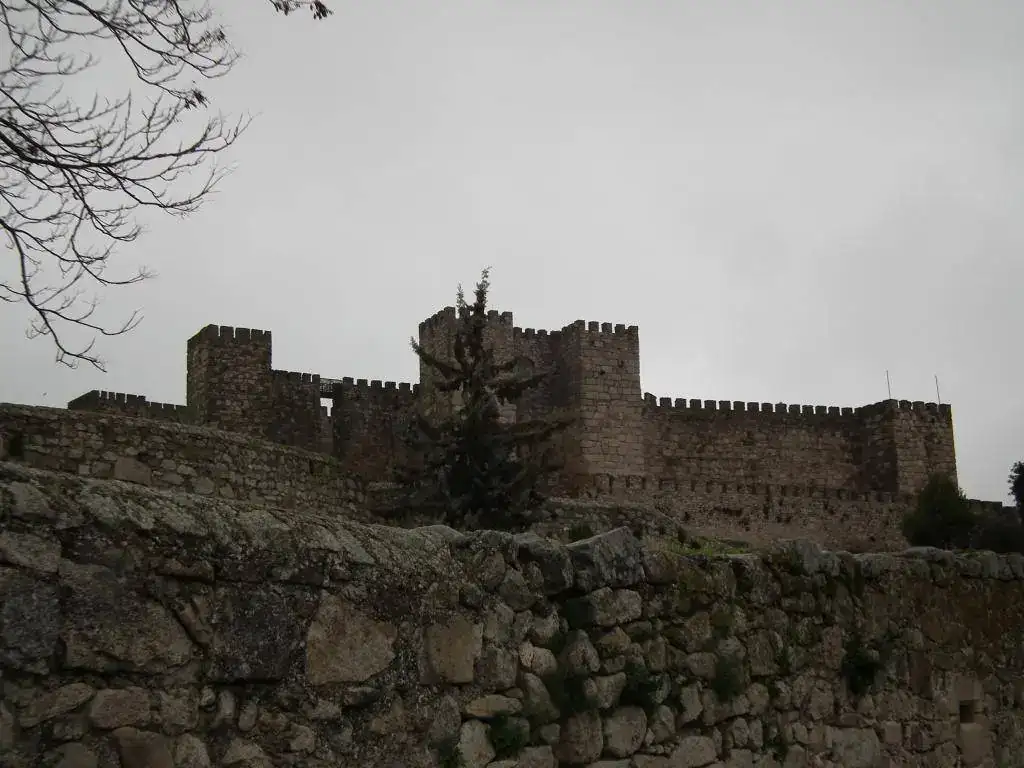 DSCF7425.webp