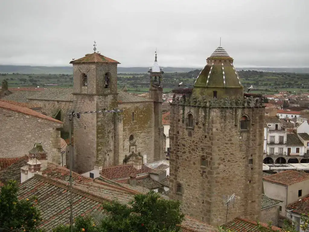 DSCF7426.webp