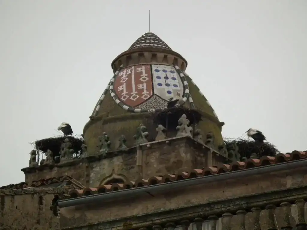 DSCF7432.webp