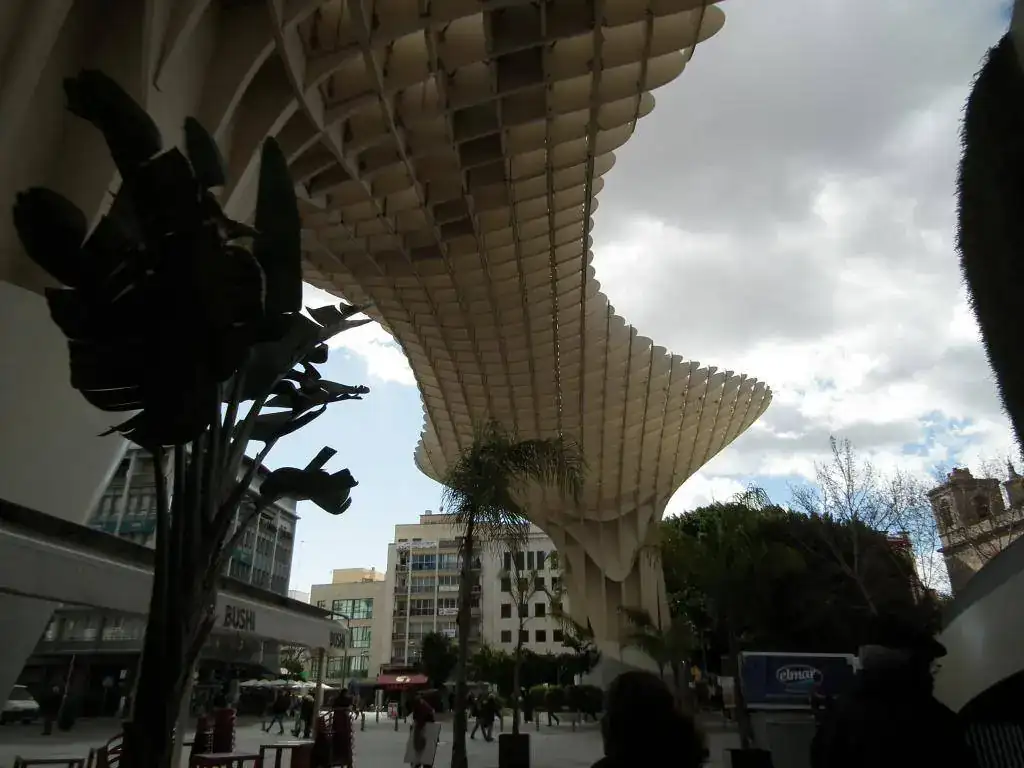 DSCF7478.webp