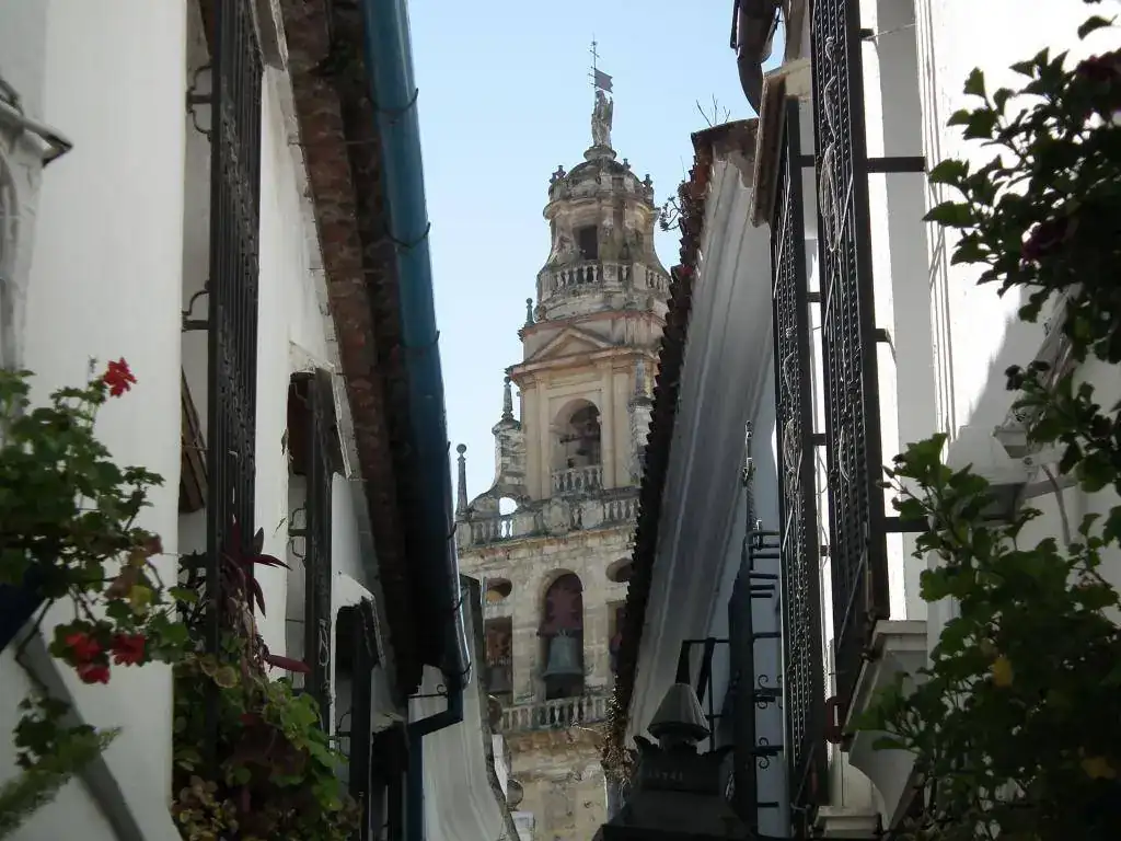 DSCF7515.webp