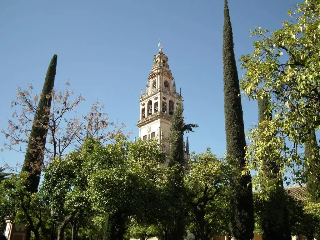 DSCF7520.webp