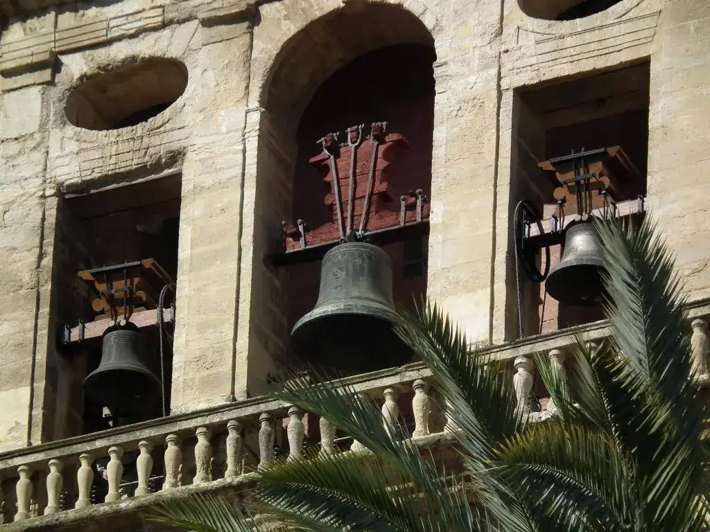 DSCF7522.webp