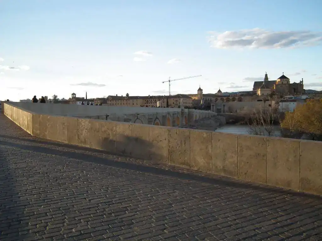 DSCF7559.webp