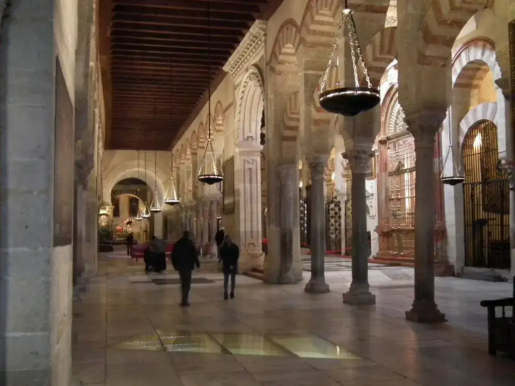 DSCF7565.webp