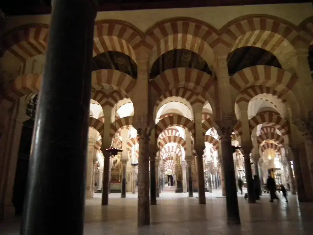DSCF7571.webp