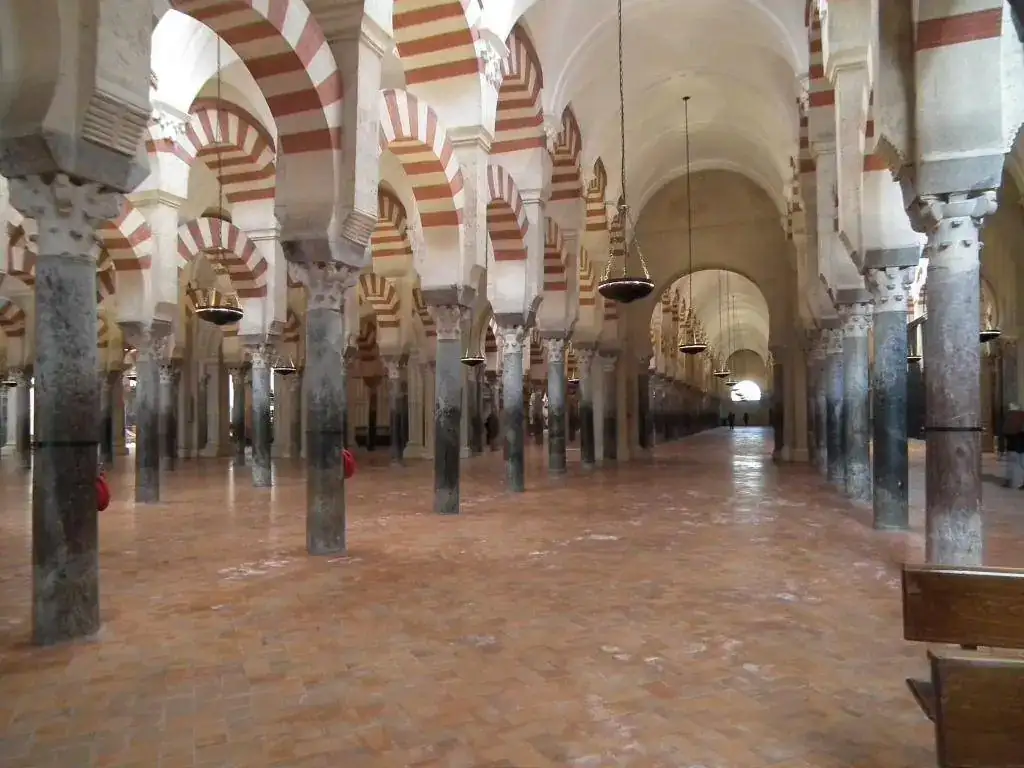 DSCF7584.webp