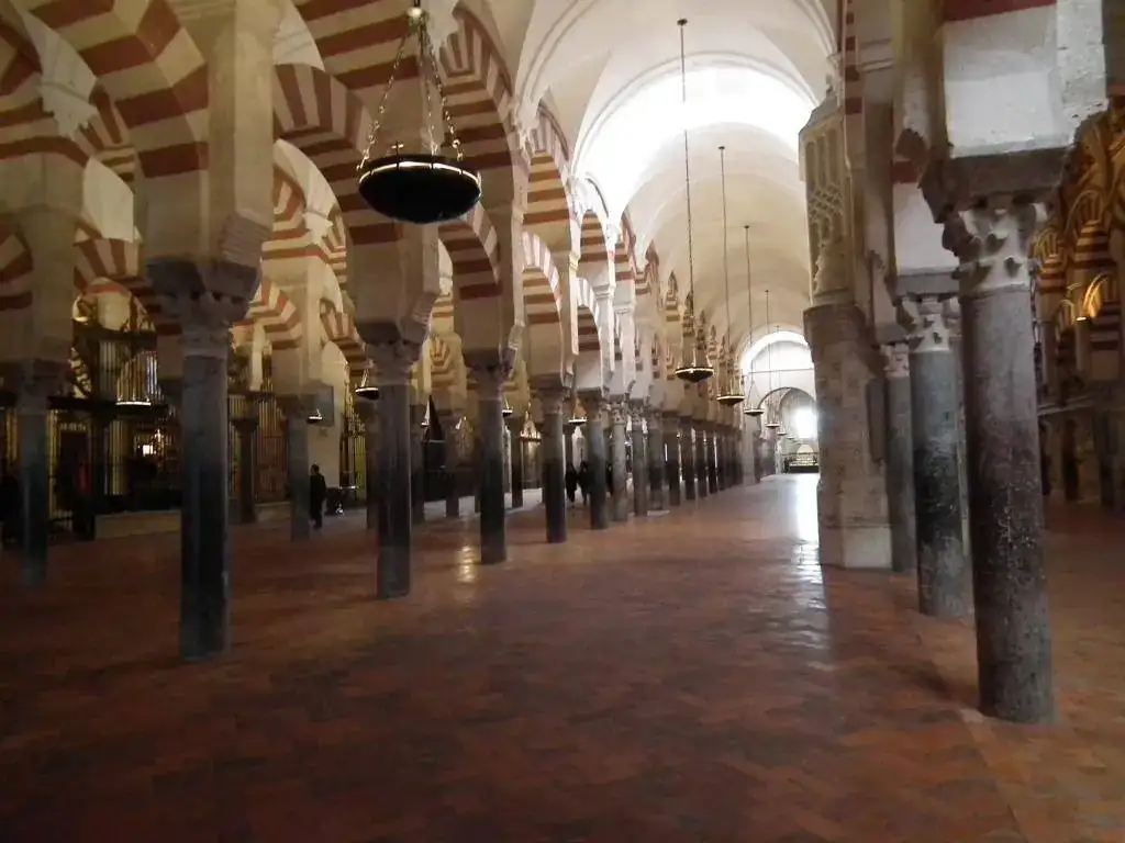 DSCF7586.webp