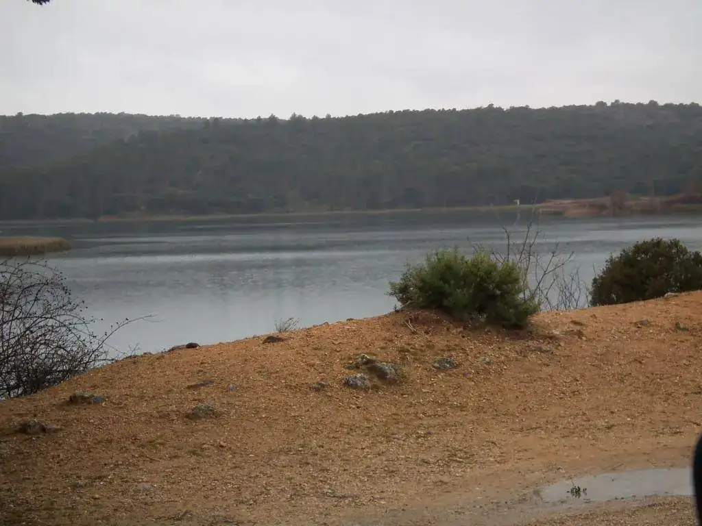 DSCF7632.webp