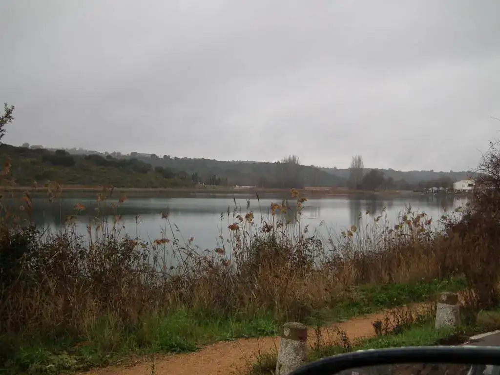 DSCF7637.webp