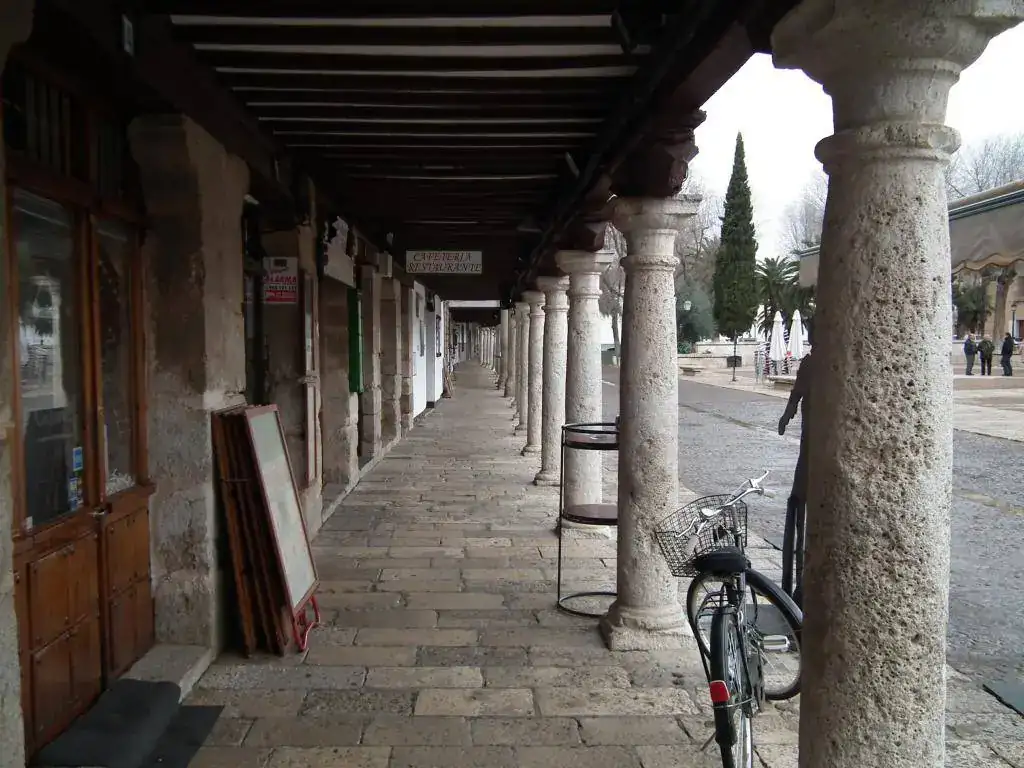 DSCF7644.webp