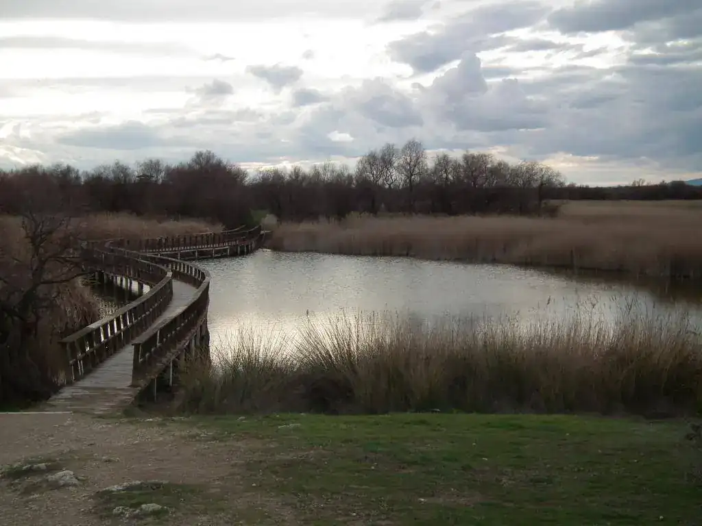 DSCF7697.webp