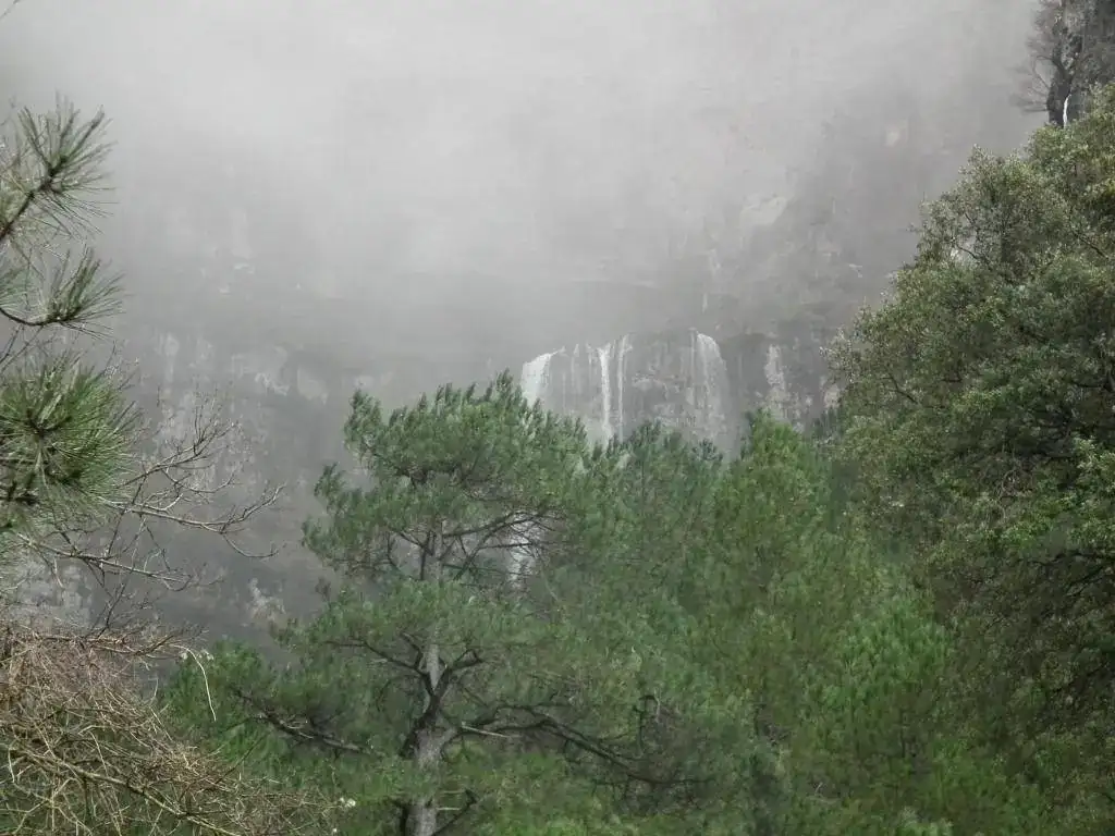 DSCF7730.webp