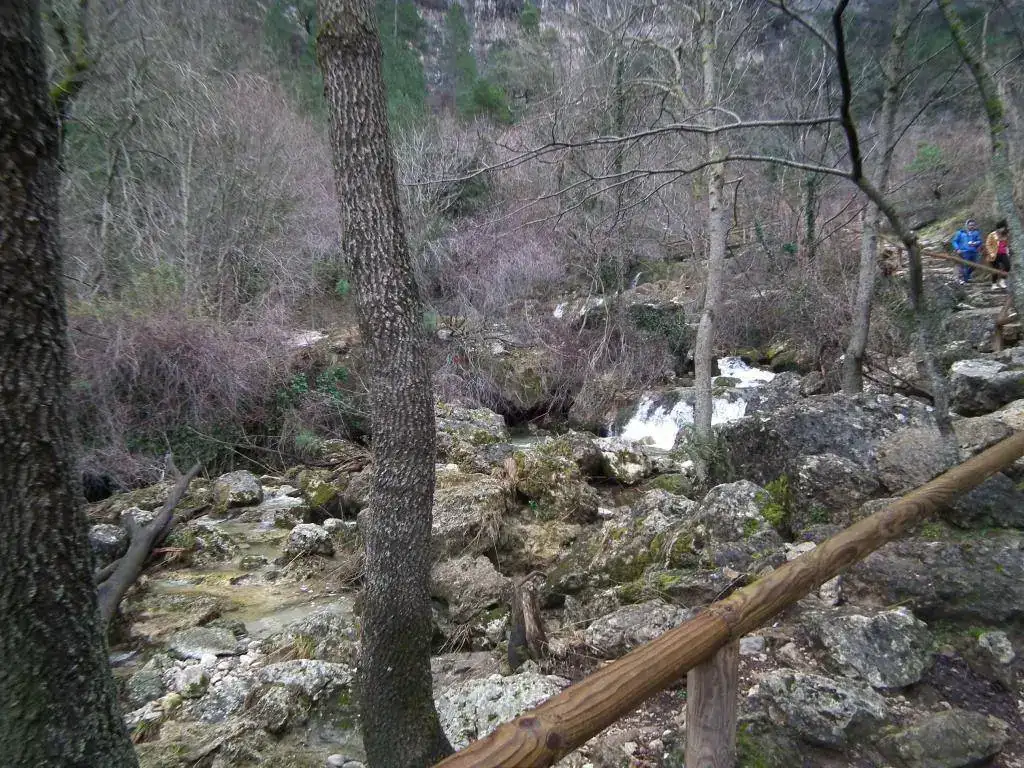 DSCF7732.webp
