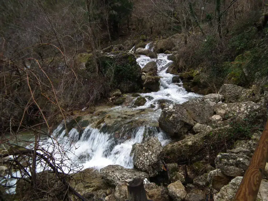 DSCF7733.webp