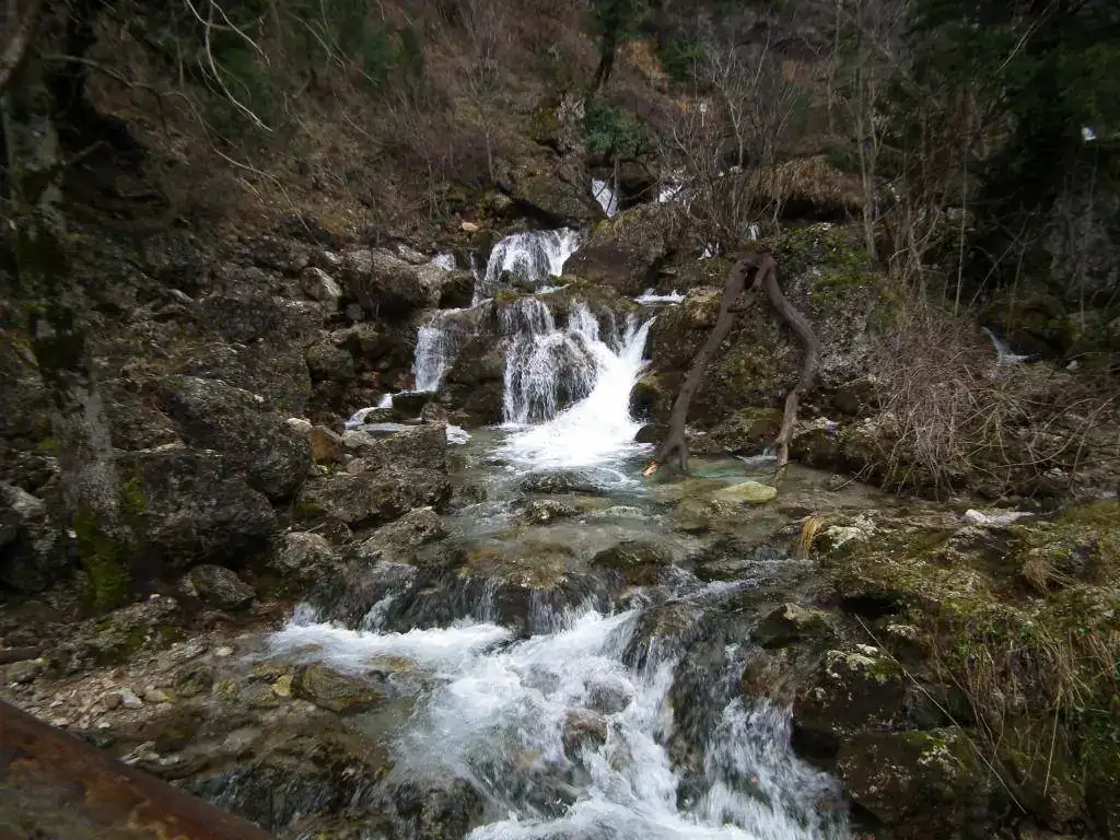 DSCF7737.webp