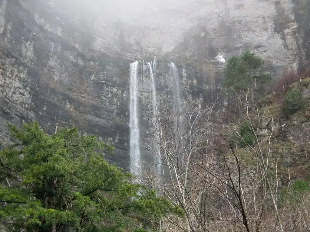 DSCF7740.webp