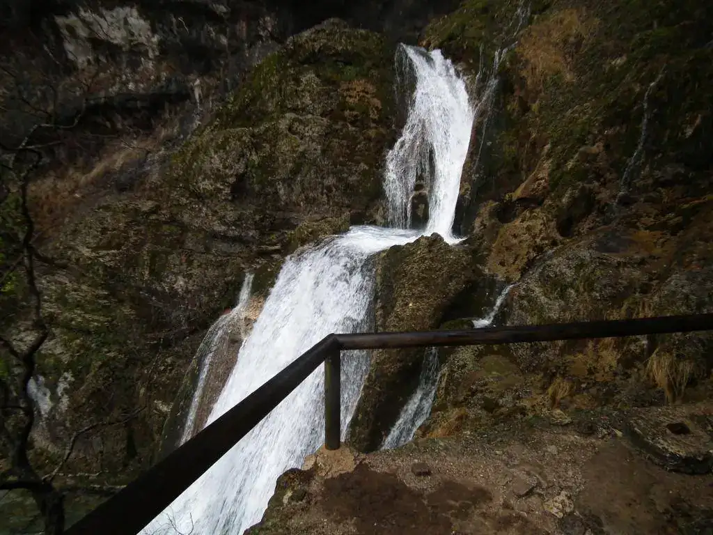DSCF7746.webp