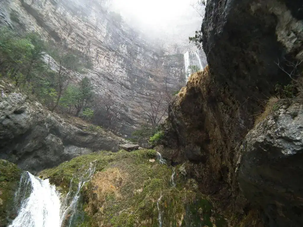 DSCF7747.webp
