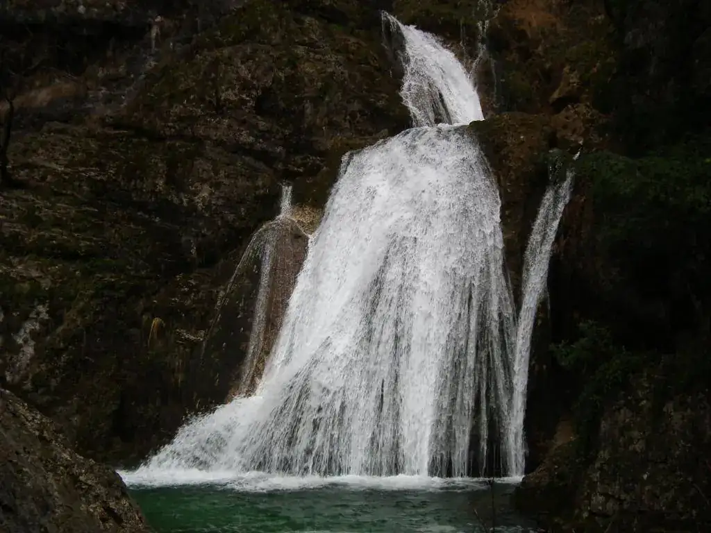 DSCF7751.webp