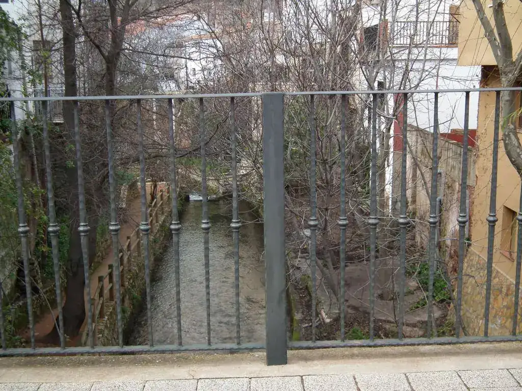 DSCF7754.webp