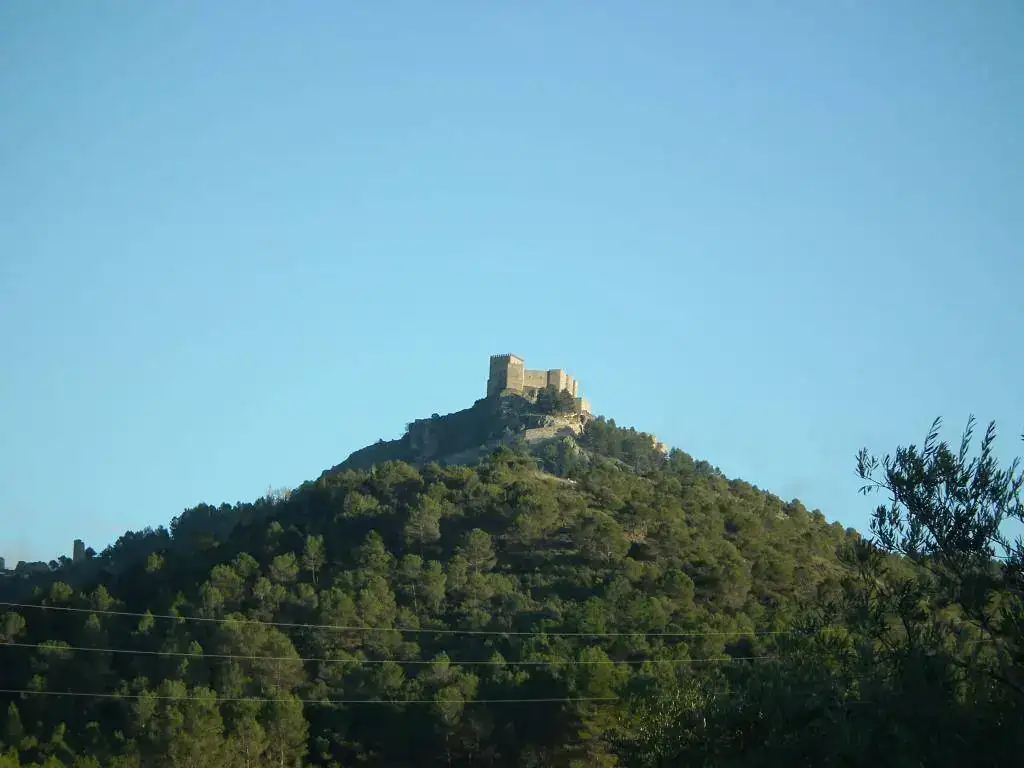 DSCF7770.webp