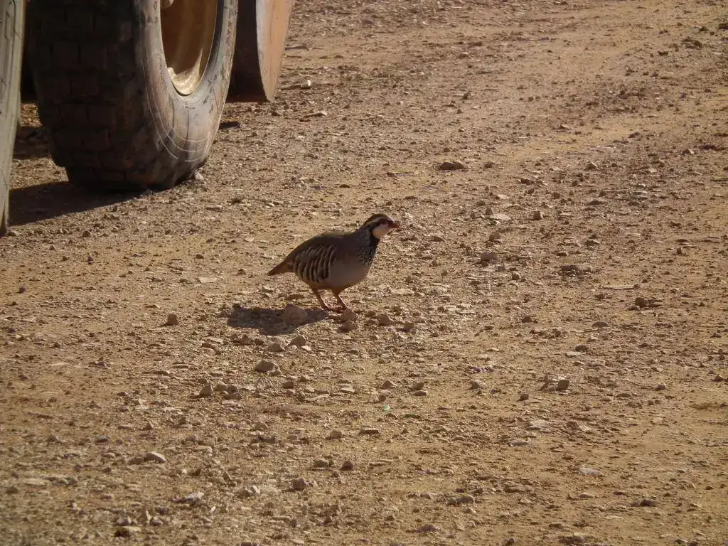 DSCF7811.webp