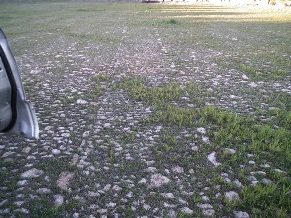 DSCF7841.webp