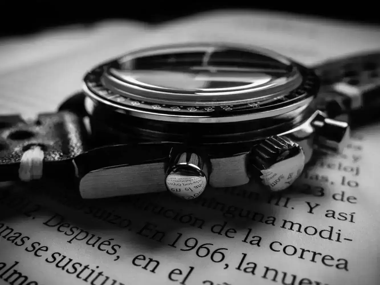 DSCF8460.webp